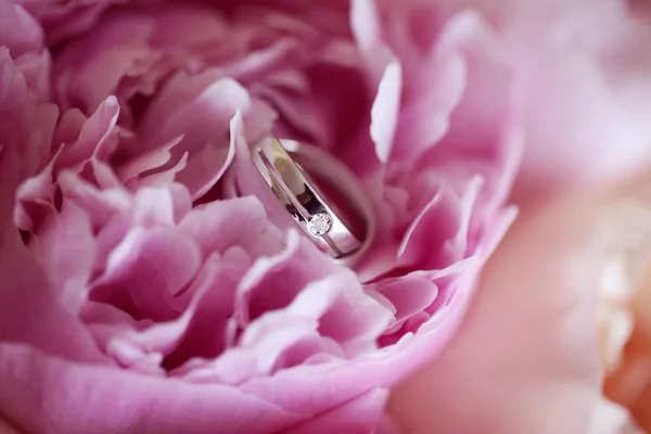 Anneaux de mariage sur pivoines — Photo