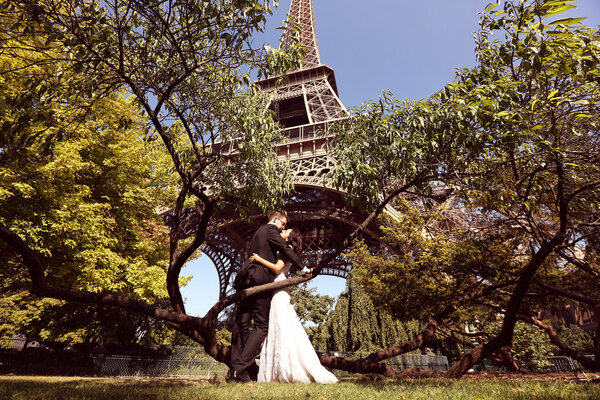 Bride and groom sitting on a tree near Eiffel Tower