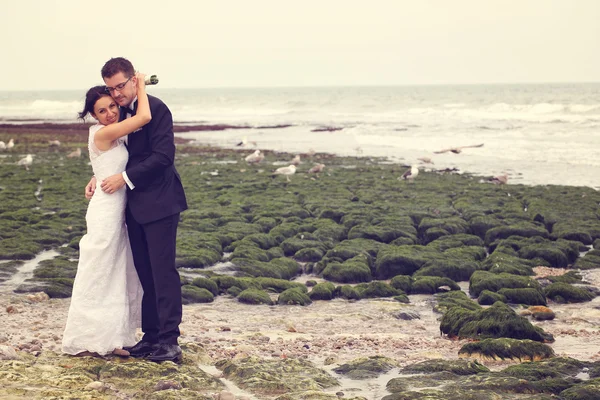 Bride and groom at the ocean — Stock Photo, Image