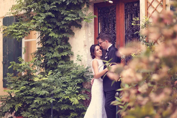 Bride and groom embracing — Stock Photo, Image