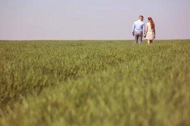 Havada, yeşil tarlalarda genç Çift