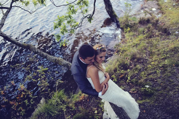 Νύφη και ο γαμπρός κάθεται σε ένα δέντρο κοντά στη λίμνη — Φωτογραφία Αρχείου