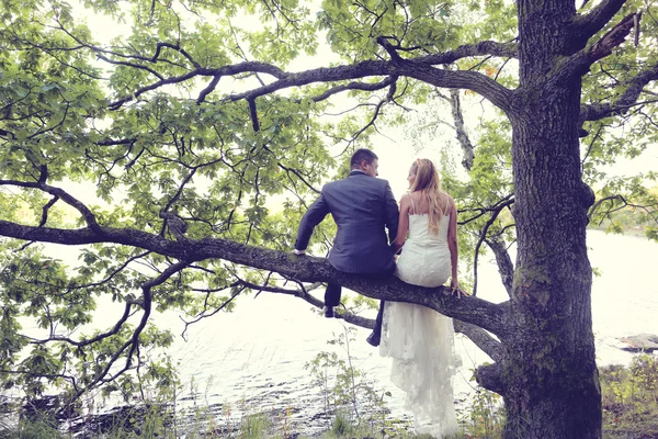 Gelin ve damat Gölü yakınındaki bir ağaçta oturuyor — Stok fotoğraf