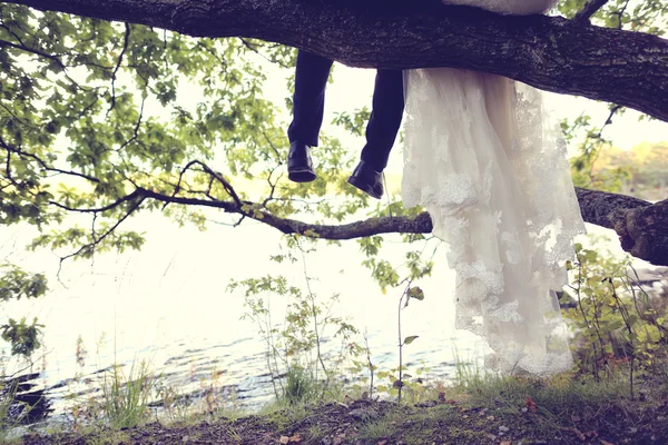 Bride and groom sitting in a tree near lake — Stock Photo, Image