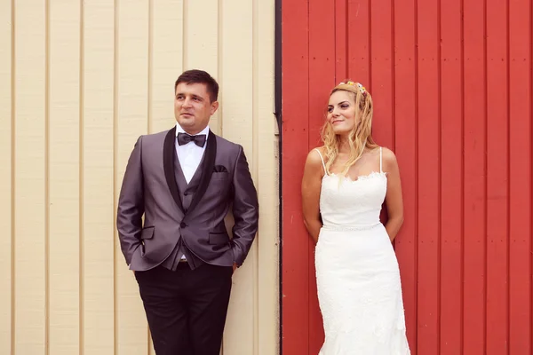 Sposa e sposo agaist parete di legno — Foto Stock