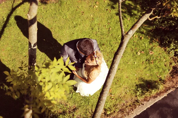 Bride and groom lying on grass — Stock Photo, Image