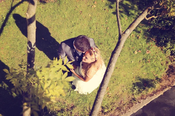 Bride and groom lying on grass — Stock Photo, Image