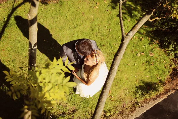 Mariée et marié couchés sur l'herbe — Photo