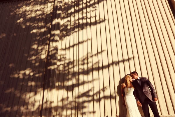 Noiva e noivo contra a parede listrada — Fotografia de Stock