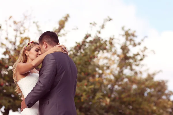 Amore sposa e sposo all'aperto — Foto Stock