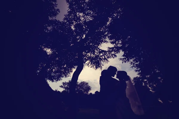 Silhouettes of a bride and groom in the park — Stock Photo, Image