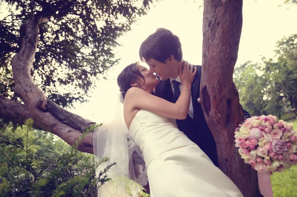 Lovely bride and groom in the park — Stock Photo, Image