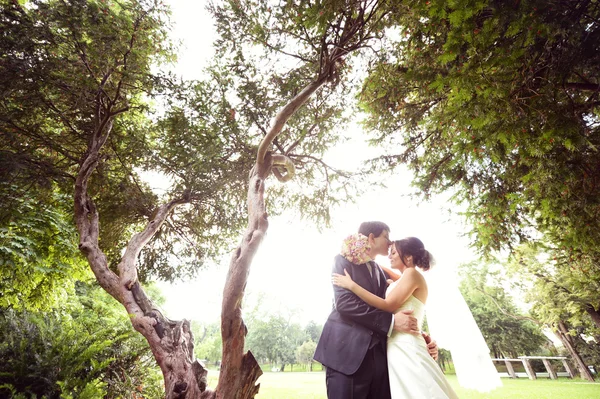 Lovely bride and groom in the park — Stock Photo, Image