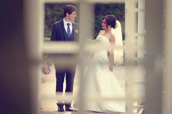 Bride and groom in the park — Stock Photo, Image