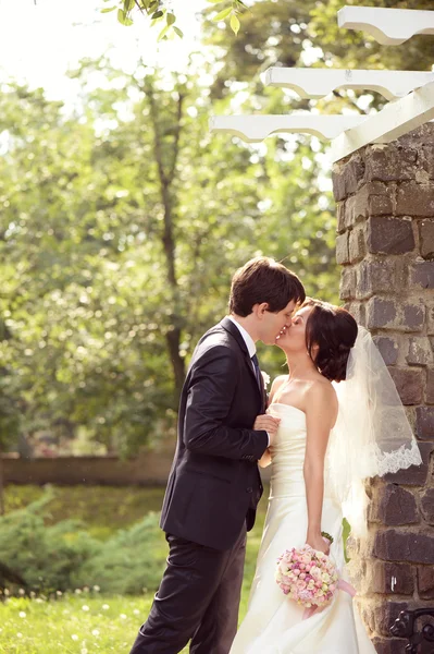 Noiva e noivo beijando no parque — Fotografia de Stock