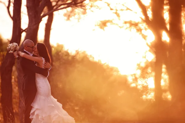 Sílhuetas de noivo e noiva à luz do sol — Fotografia de Stock