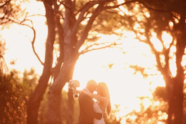 Silhouettes de mariée et marié à la lumière du soleil — Photo