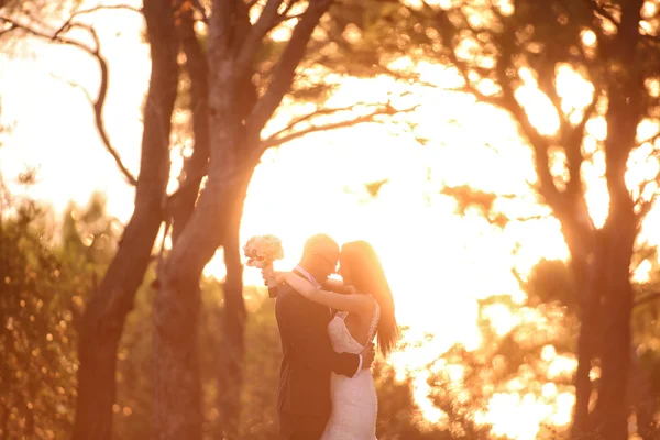 Silhouettes de mariée et marié à la lumière du soleil — Photo