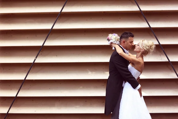 Noiva e noivo beijando contra uma parede listrada — Fotografia de Stock