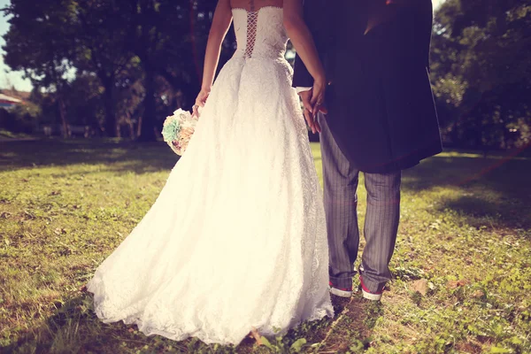 Achterzijde van een bruid en bruidegom — Stockfoto