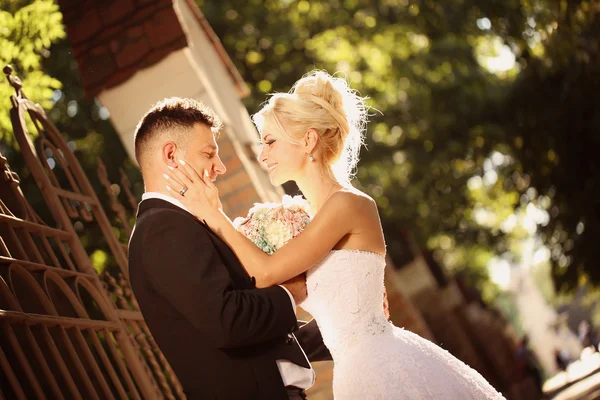 Bride and groom in the park — Stock Photo, Image