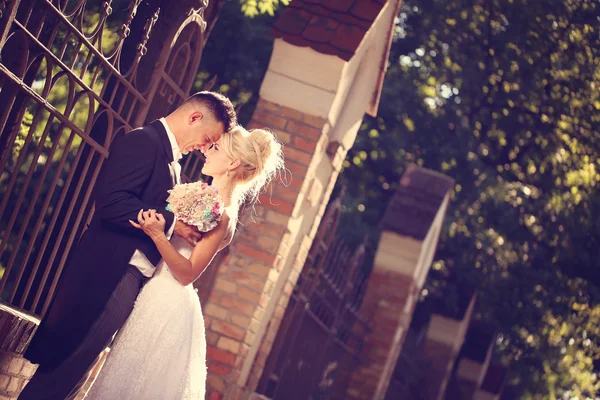 Bride and groom in the park — Stock Photo, Image