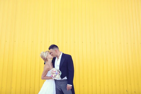Braut und Bräutigam küssen sich vor gelber Wand — Stockfoto