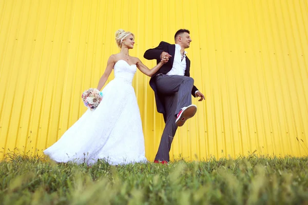 Bride and groom kissing against a yellow wall — Stock Photo, Image