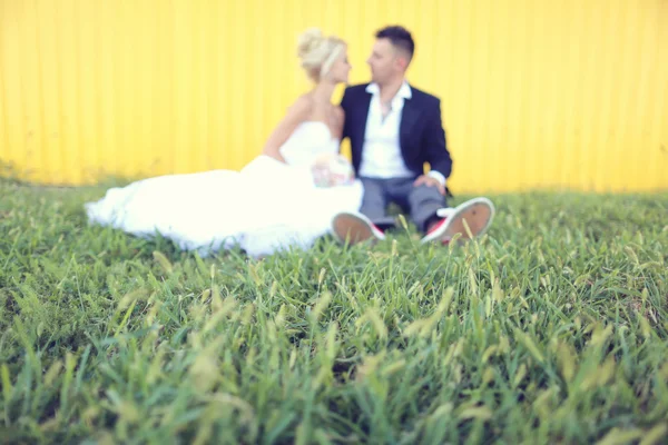 Silhouetten van een bruid en bruidegom zitten in het gras — Stockfoto