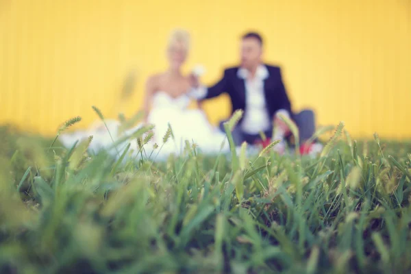 Silhouetten van een bruid en bruidegom zitten in het gras — Stockfoto