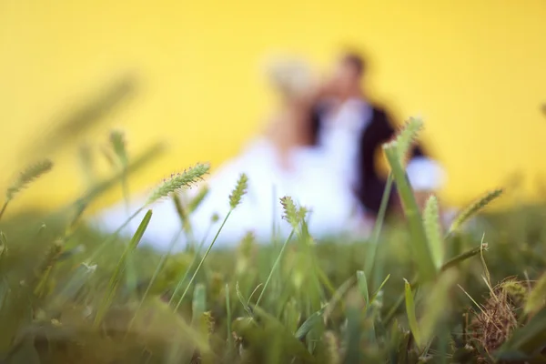 Sziluettek a menyasszony és a vőlegény ül a fűben — Stock Fotó