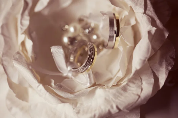 Close up of beautiful wedding rings — Stock Photo, Image