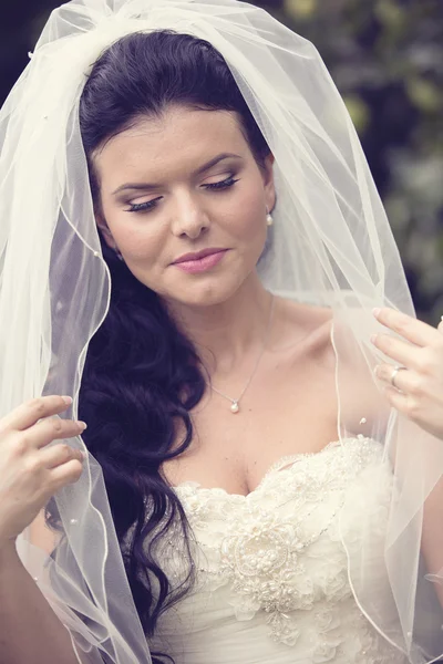 Retrato de noiva bonita com véu — Fotografia de Stock