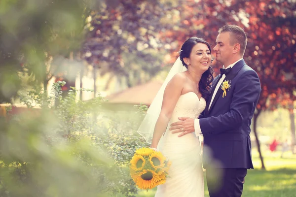 Menyasszony és vőlegény a parkban — Stock Fotó