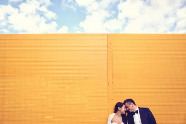 Bruid en bruidegom op geel muur — Stockfoto