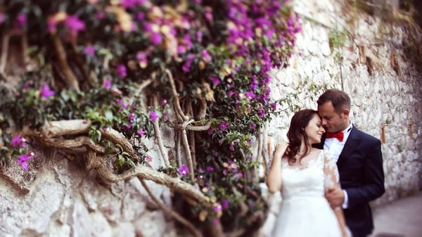 Novia y novio abrazando cerca de la pared llena de flores —  Fotos de Stock