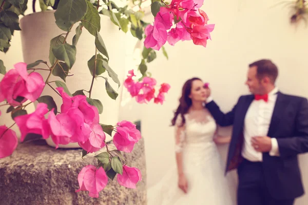 Flores com noiva e noivo como silhuetas — Fotografia de Stock