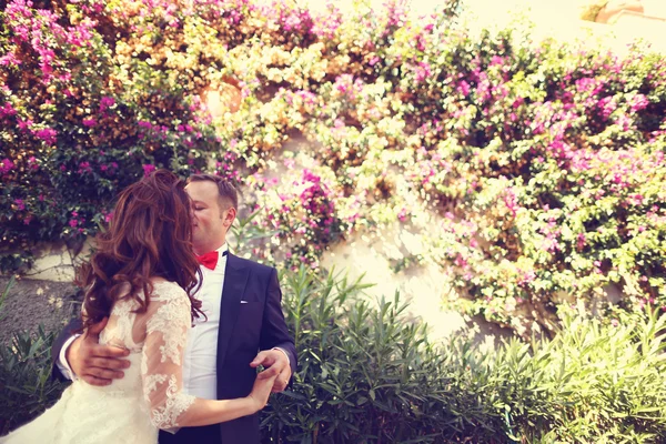 Bride and groom embracing — Stock Photo, Image