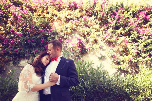 Bride and groom embracing — Stock Photo, Image