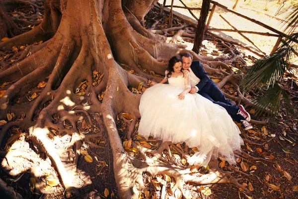 Mariée et marié assis sur des racines d'arbre — Photo