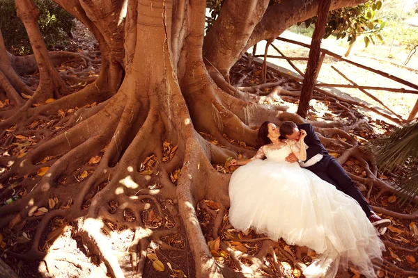 Mariée et marié assis sur des racines d'arbre — Photo