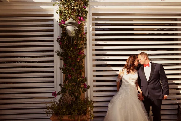 Bride and groom in the sunlight — Stock Photo, Image