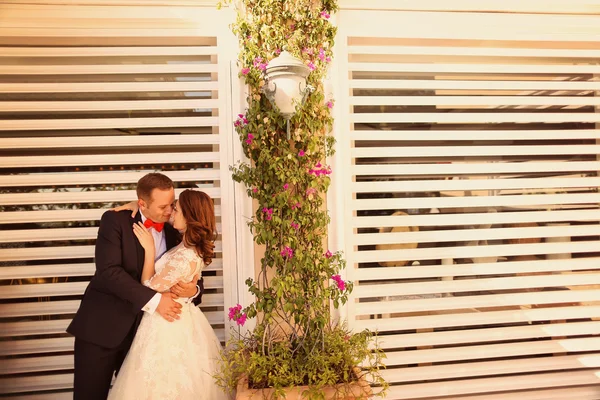 Bruid en bruidegom in het zonlicht — Stockfoto