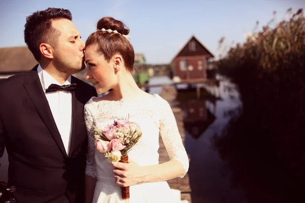 Groom kissing the bride — Stock Photo, Image