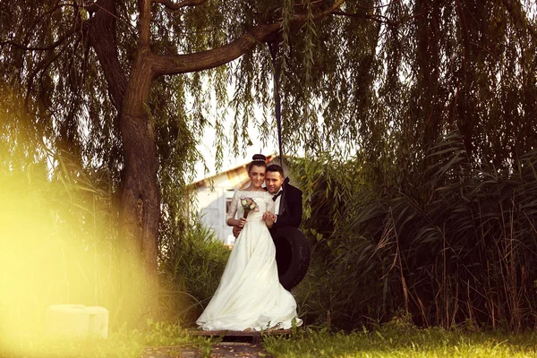 Bella coppia nuziale vicino agli alberi — Foto Stock