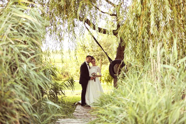 Beautiful bridal couple near trees — Stock Photo, Image