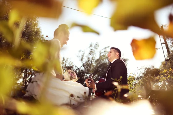 Bride and groom in beautiful sunlight — Stock Photo, Image