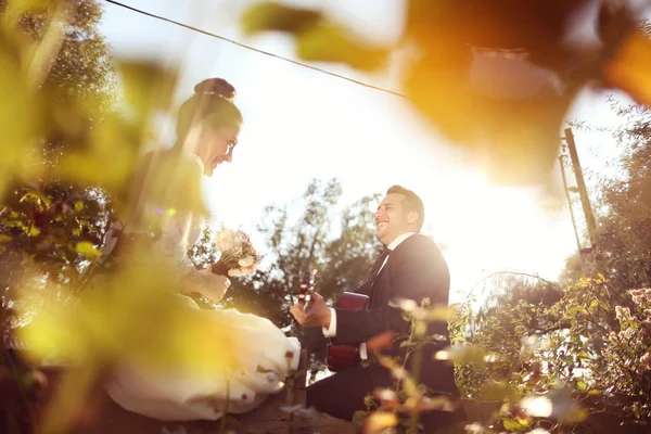 Braut und Bräutigam im schönen Sonnenlicht — Stockfoto