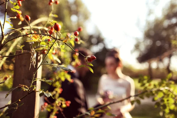 新娘和新郎在后台花卉种球 — 图库照片