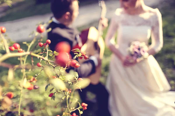 Blumenzwiebeln mit Braut und Bräutigam im Hintergrund — Stockfoto